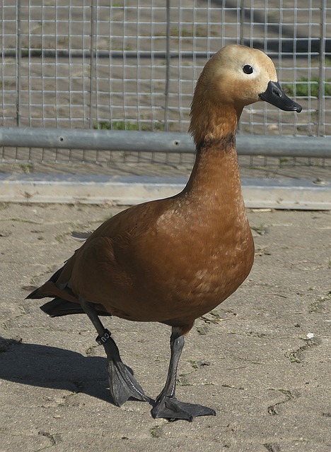 坚决拦截