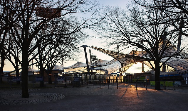 作为职业拳 作为职业拳