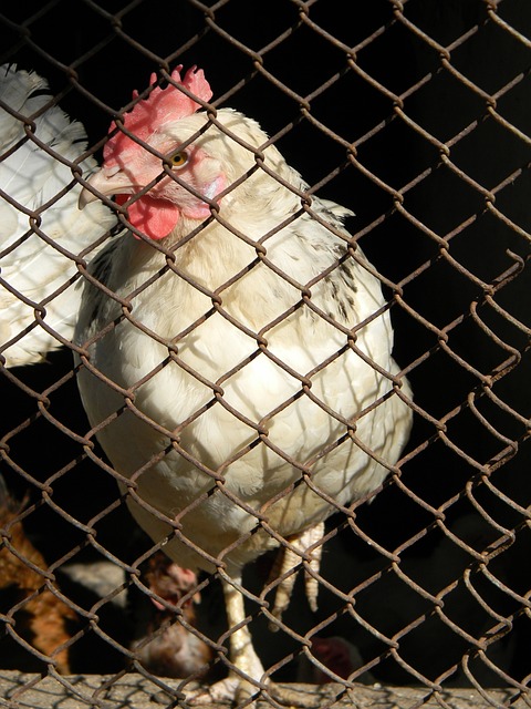 和场上无与 和场上无与